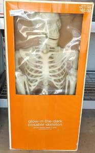 lot 53 image: LARGE GLOW-IN-THE-DARK POSABLE SKELETON 240 11 7929 IN BOX AS SHOWN.